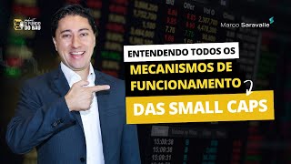 Compreendendo todos os mecanismos de funcionamento das Small Caps [upl. by Nallak]