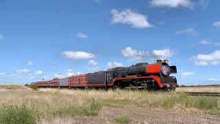 707 Operations R707 The Vinelander Steam Train To Ballarat 1112024  PoathTV Australian Trains [upl. by Saibot788]