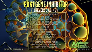 Reverse Aging PDK1 Gene Inhibitor Scientifically Proven [upl. by Hayashi]