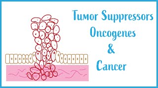 Tumor suppressors Oncogenes and Cancer Biology USMLE Essentials [upl. by Nnylkoorb]