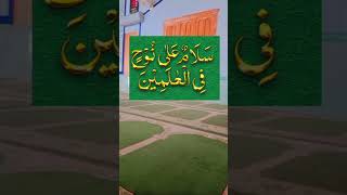 salamun Ala nuhin fil Alamin wazify islamicwazifa islamicshort ytshorts MRSHABIVLOGS ALLAH [upl. by Yram]