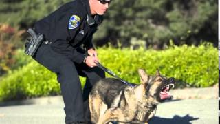 Fremont Police Department Recruitment Video [upl. by Roselle]