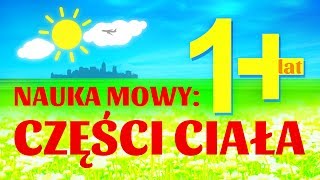 Nauka mowy CZĘŚCI CIAŁA  dla dzieci  wiek 1 [upl. by Anoid]