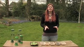 The Wildlife Garden Project  How to set up your bird feeders [upl. by Boardman]