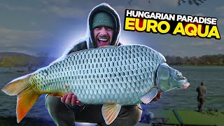 A Trip To Euro Aqua  Home Of The BIGGEST CARP In The WORLD [upl. by Abih]