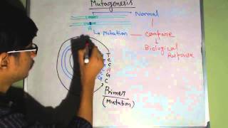 Site directed mutagenesis [upl. by Hepsiba351]