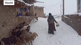 Snow in the village and the hard work of the family [upl. by Dduj]