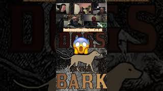 Satirical Dogs denizens dogsinthebark bladesinthedark ttrpgfamily dogs [upl. by Anyal186]