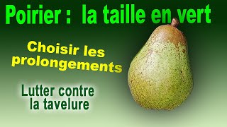 Poirier  la taille en vert choisir les prolongements soin de tavelure du beurré hardy base tige [upl. by Laufer]