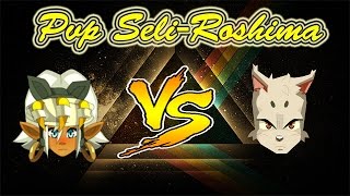 DOFUS Seliroshima Roublard 200 VS Eca 200 [upl. by Floris]