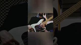 Maneskin  Beggin BASS SOLO [upl. by Hannad]