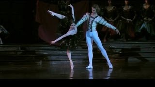 Evgenia Obraztsova  Swan Lake Part 4 OdileBlack Swan [upl. by Jacques]