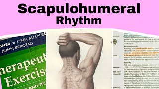 lec 4  Therapeutic Exercises Chp17  Scapulohumeral Rhythm [upl. by Berkman334]