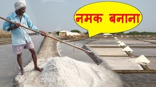 Natural Salt Making with Sea Water  NaCl  Salt Mineral Make Process India  नमक बनाने की प्रक्रिया [upl. by Atiekahs]