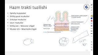 49 Ovqat hazm qilish tizimi anatomiyasi va innervatsiyasi [upl. by Nivre]