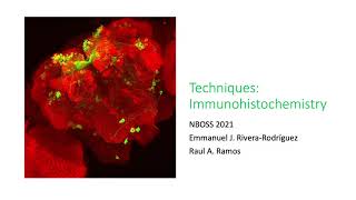 Immunohistochemistry [upl. by Debee]