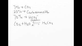 Chloride Shift explained [upl. by Anasiul]