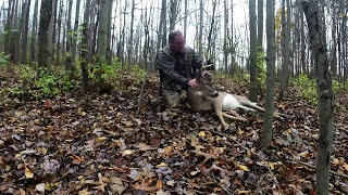 Letchworth State Park NY 2014 Bow Harvest 7 point Bowhunting bowtech FOB amp gopro [upl. by Nonnag717]