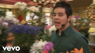 David Archuleta  Crush Yahoo Music Originals 2008 [upl. by Feil]