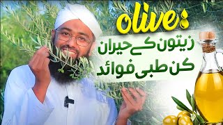 Zaitoon Ke Fayde  Health Benefits of Olive Oil  Zaitoon Ka Tail  What is Olive Oil  Soban Attari [upl. by Marion100]