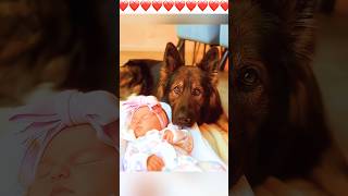 😍Dogs love children ❤️🐶❤️ doglover dog dogs doglovers shortsvideo short fypシ゚viral [upl. by Adelaide]