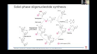 Towards Developing Greener Methods for Oligonucleotide Synthesis [upl. by Dinerman133]