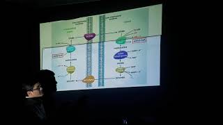 Biosintesis de Acidos Grasos y Eicosanoides Parte1 [upl. by Sergius]