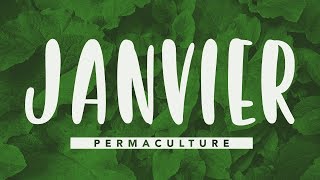 Que faire dans jardin permaculture en janvier  permaculture [upl. by Lydell]