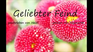 Geliebter Feind FF  Kapitel 28 von Heidi gelesen von AiyanaHB [upl. by Reinal]