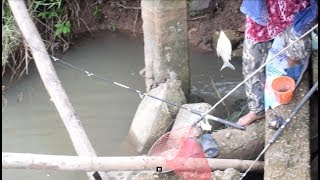 Net fishing  Catching Fish in savannakhet  laos [upl. by Eylrac]