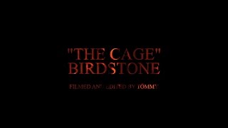 BIRDSTONE  The Cage Official Video [upl. by Michon761]