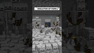 Minecraft Skeleton XP Farm minecraft shorts [upl. by Damahom]