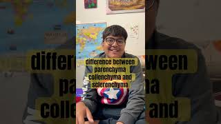 difference between parenchyma collenchyma and sclerenchymashortvideo [upl. by Ennaillek]