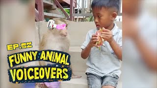 Best Animal Voiceovers  Ep 52 [upl. by Ahsieyt599]