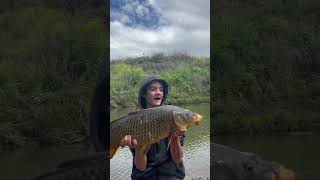 Big carp on 8 pound new PB at 75cm fishingaustralia fishspecies carp [upl. by Nireil]