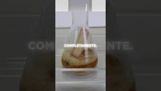 Vaporizando cosas con ácido mezcla piraña ciencia química [upl. by How250]