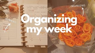 Organizing my Week in my Hourly amp Dashboard Planner weeklyplanwithme [upl. by Neeron22]