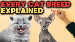 Every CAT Breeds EXPLAINED in 10 minutes [upl. by Nnaes]