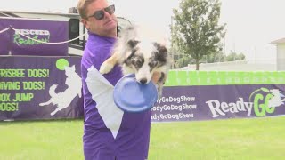 Rescue dogs steal the show as performers at the Boone County Fair [upl. by Gibb]