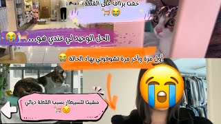 أول مرة نبكي فشي فيديو😭نصائح لأي واحد مربي حيوان🐈ديت القطة لسبيطار بسبب😣البيطري في🇰🇷… [upl. by Lednor315]