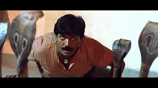 ಹಾವುಗಳಿಂದ ಹೆಣ್ಣನ ಕಾಪಾಡಿದ ದೇವರಾಜ್  Huliya Kannada Movie Scenes  Devaraj Archana Pooja Sindhu [upl. by Pallaten428]