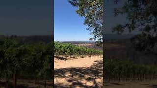 Mayacamas Vineyard Tour [upl. by Ainit]