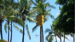 Federal Signal EOWS 612 Kahaluu Beach Park 8111 [upl. by Delmor]