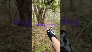 My territory therian therianthropy forest vlog youtube stop turning off my commentsssss [upl. by Loats]