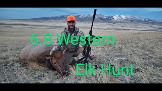 Montana Elk Hunt 766 Yards with the 170 Nosler Ballistic Tip68 Western [upl. by Anelrad]