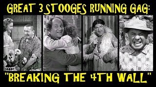 The Three Stooges  Episode 101  Brideless Groom 1947  Moe Howard Larry Fine Curly Howard [upl. by Ardnohsal580]