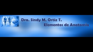 Clase 5  Elementos de Anatomía [upl. by Lapham]