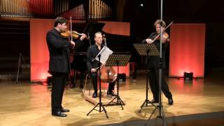 Ernst von Dohnanyi Serenade for Sting Trio Op10 3 Scherzo Vivace [upl. by Anna-Maria]