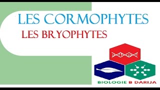 cours cormophytes partie 2  les bryophytes [upl. by Laehplar]