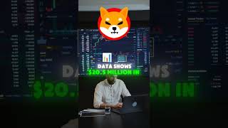 SHIB Rebound Imminent shibainus bitcoin shibainupriceprediction shibaburn cryptocurrency [upl. by Adle]